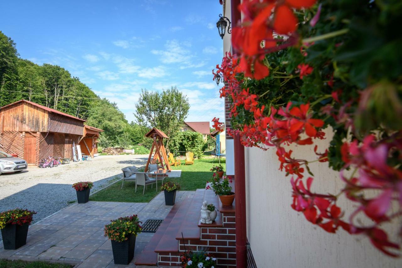 Casa Moldovan Совата Екстериор снимка