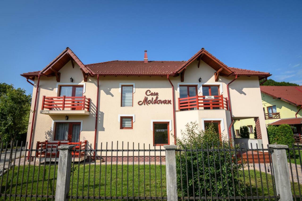 Casa Moldovan Совата Екстериор снимка