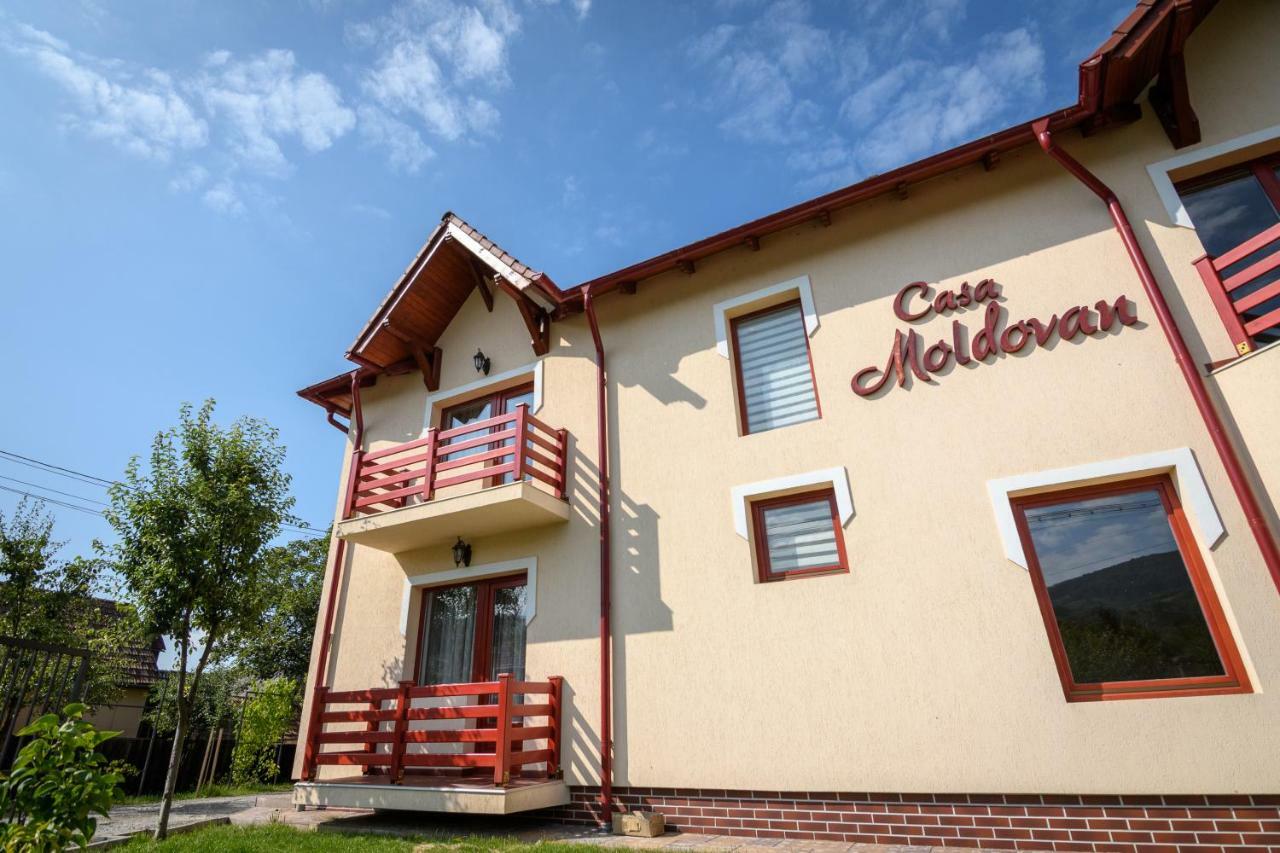 Casa Moldovan Совата Екстериор снимка